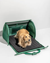 Load image into Gallery viewer, Wild One - Pet Air Carrier Travel