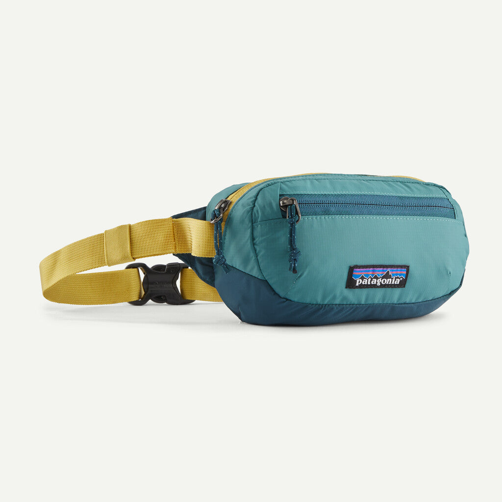 Patagonia Ultralight Black Hole Mini 1L Hip Pack | TYLER'S