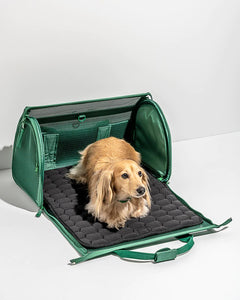 Wild One - Pet Air Carrier Travel